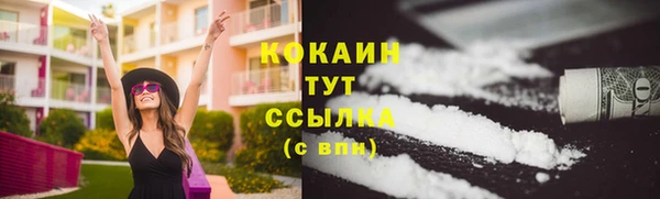 гидра Новокубанск