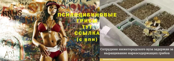 мет Новодвинск