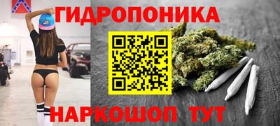 a pvp Заводоуковск