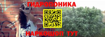 a pvp Заводоуковск