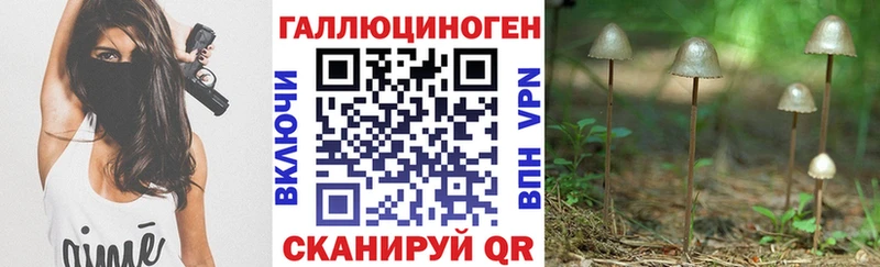 Галлюциногенные грибы MAGIC MUSHROOMS  Рубцовск 