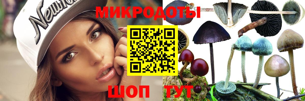 Псилоцибиновые грибы Magic Shrooms Рубцовск