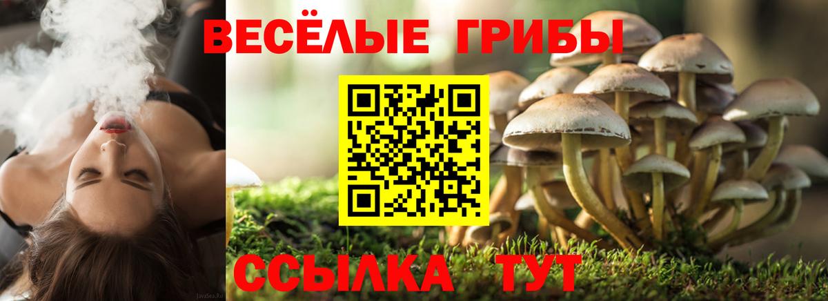 Галлюциногенные грибы MAGIC MUSHROOMS  Рубцовск 