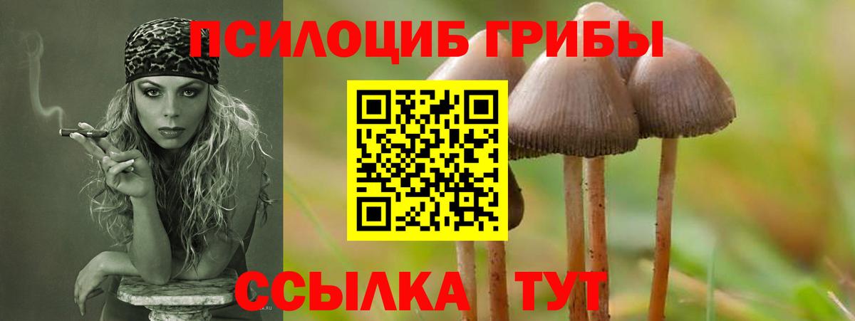Галлюциногенные грибы Magic Shrooms  Вход с VPN  Рубцовск 