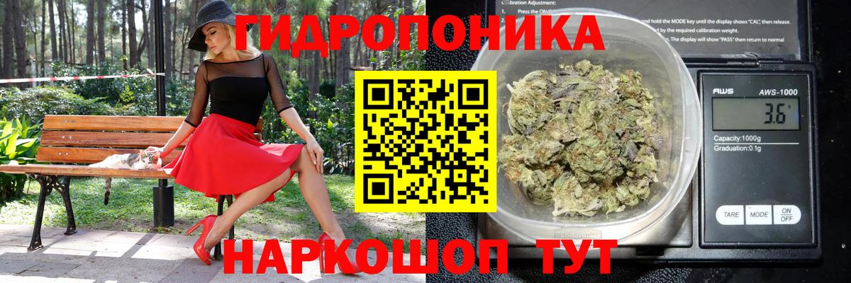 Конопля сатива Рубцовск